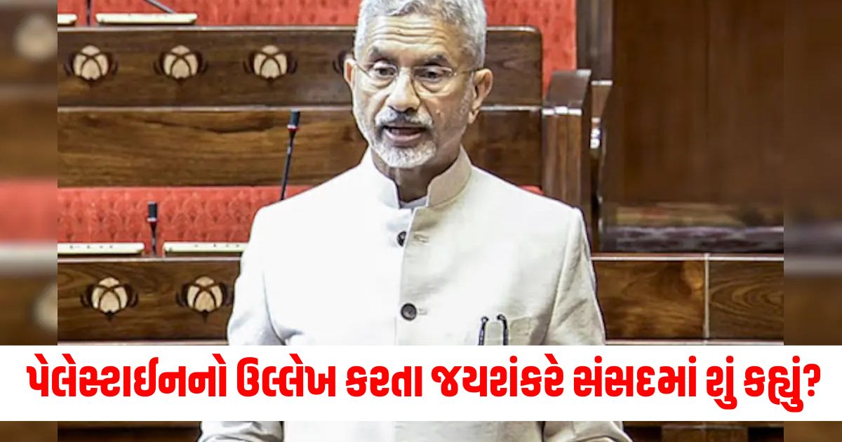 s jaishankar reaffirmed india long standing support for a two state solution to the israel palestine conflict ewr