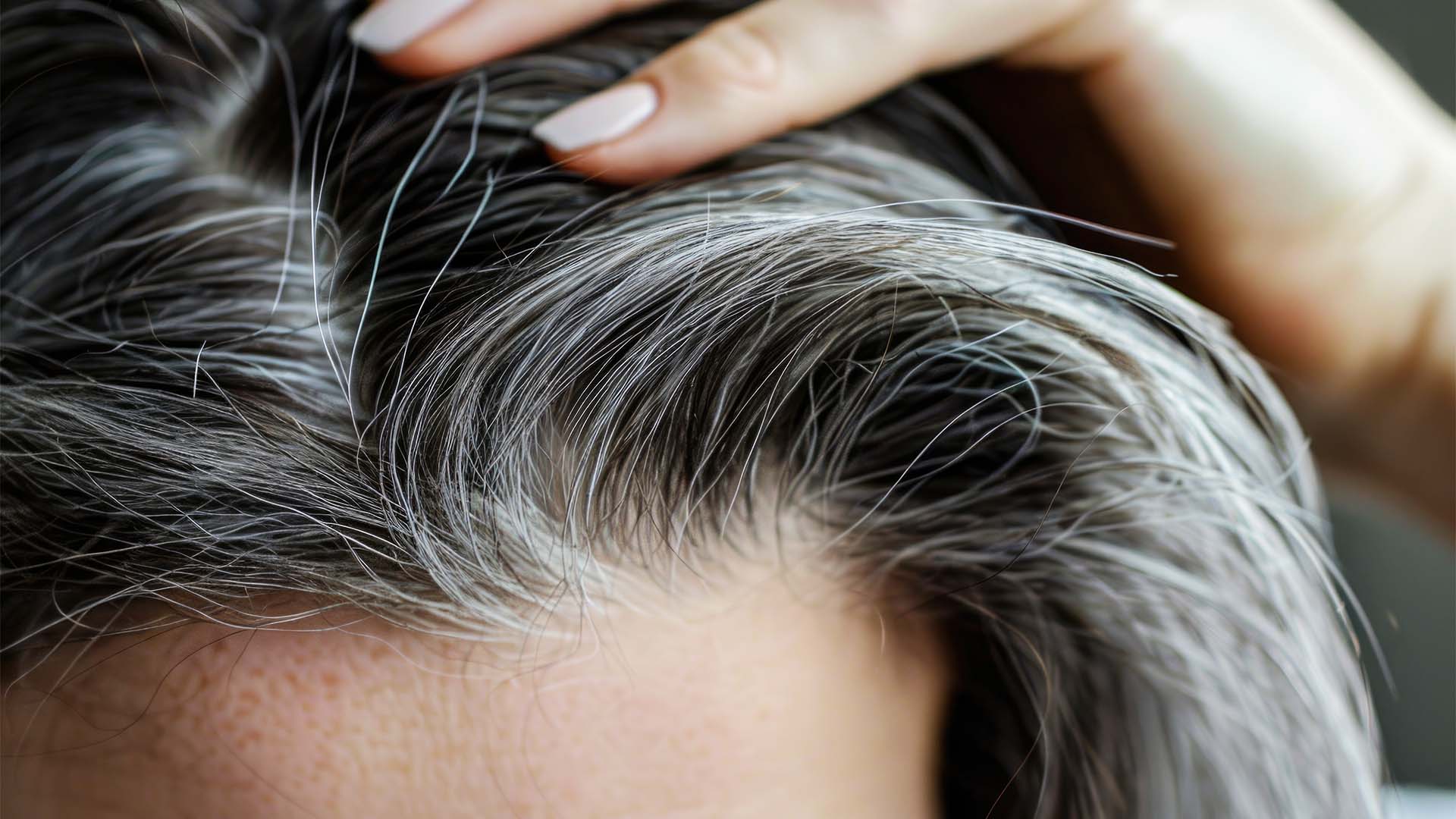 tips to reduce the problem of gray hair in winter article wesrer