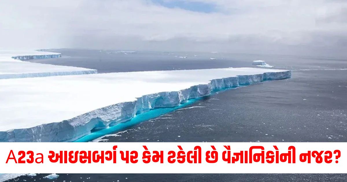 world largest iceberg a23a is moving again why are scientistseyes fixed on this iceberg werw