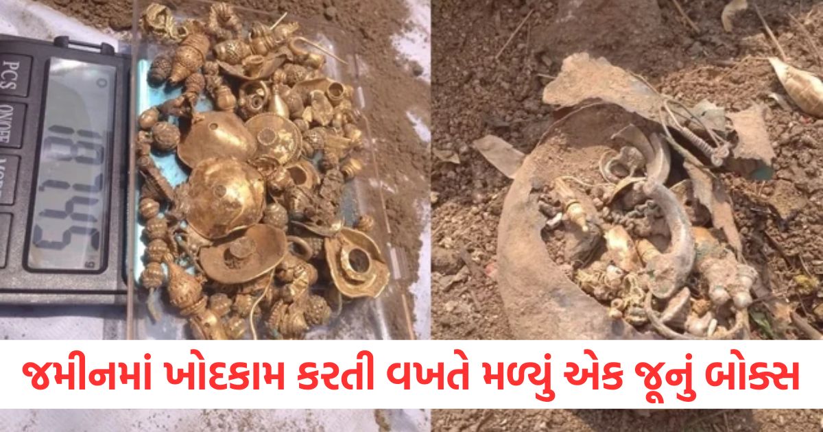 box found while digging ground when it opened everyone shocked found ancient treasure khajana mila gada dhan fake real