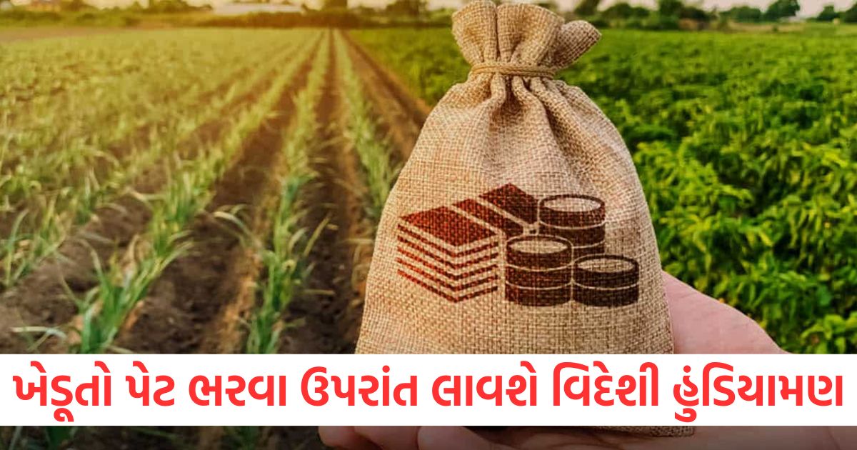 budget 2025 expectations farmers will not only produce food but bring foreign currency with support of agriculture budget