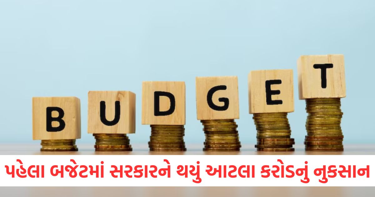 budget 2025 government faces loss of crores in country first budget