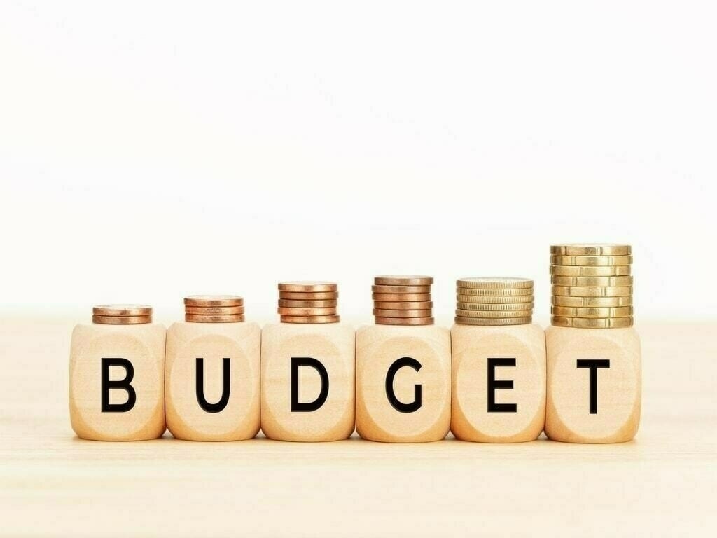 budget 2025 government faces loss of crores in country first budget2