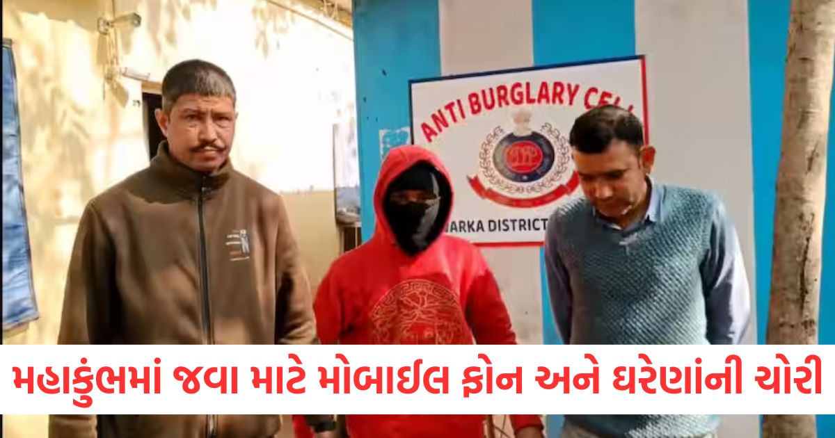 delhi police arrested vicious thief thefts to go mahakumbh in dwarka district