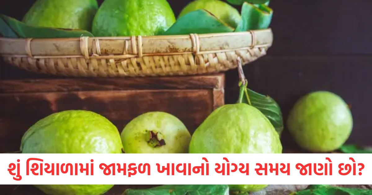 food news right time to consume guava and dishes made of it