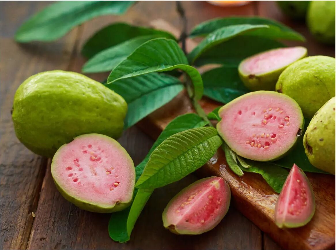 food news right time to consume guava and dishes made of it1 e1736584001867