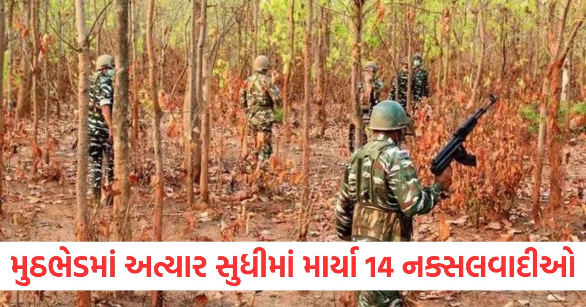 gariaband encounter update 14 naxalites killed weapons also recovered in chhattisgarh