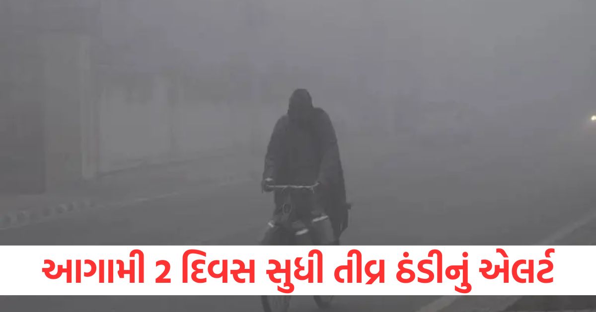 gujarat ka mausam january 2025 weather update winter forcast coldwave imd issue alert