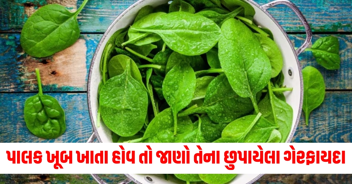 health if you are also eating spinach a lot in winter then just read its 5 hidden disadvantages