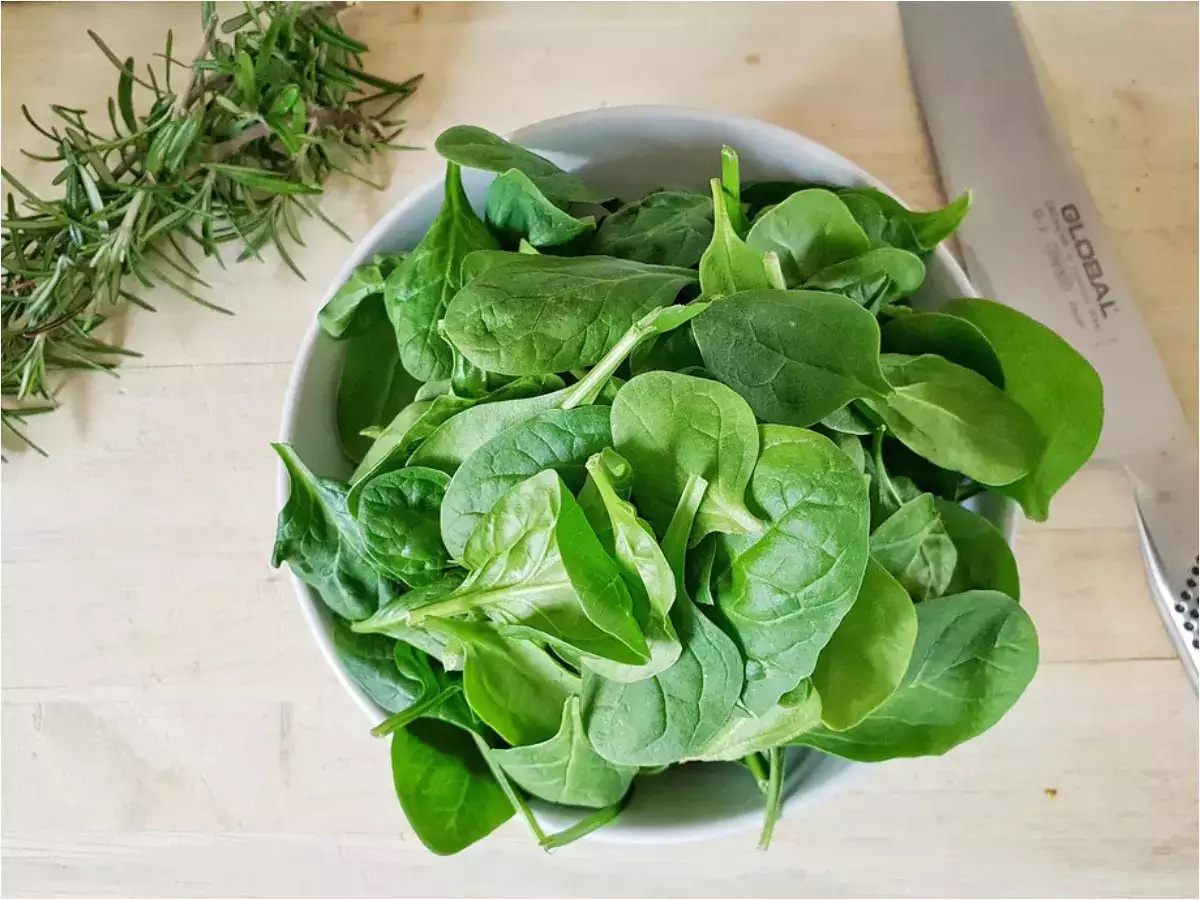 health if you are also eating spinach a lot in winter then just read its 5 hidden disadvantages1