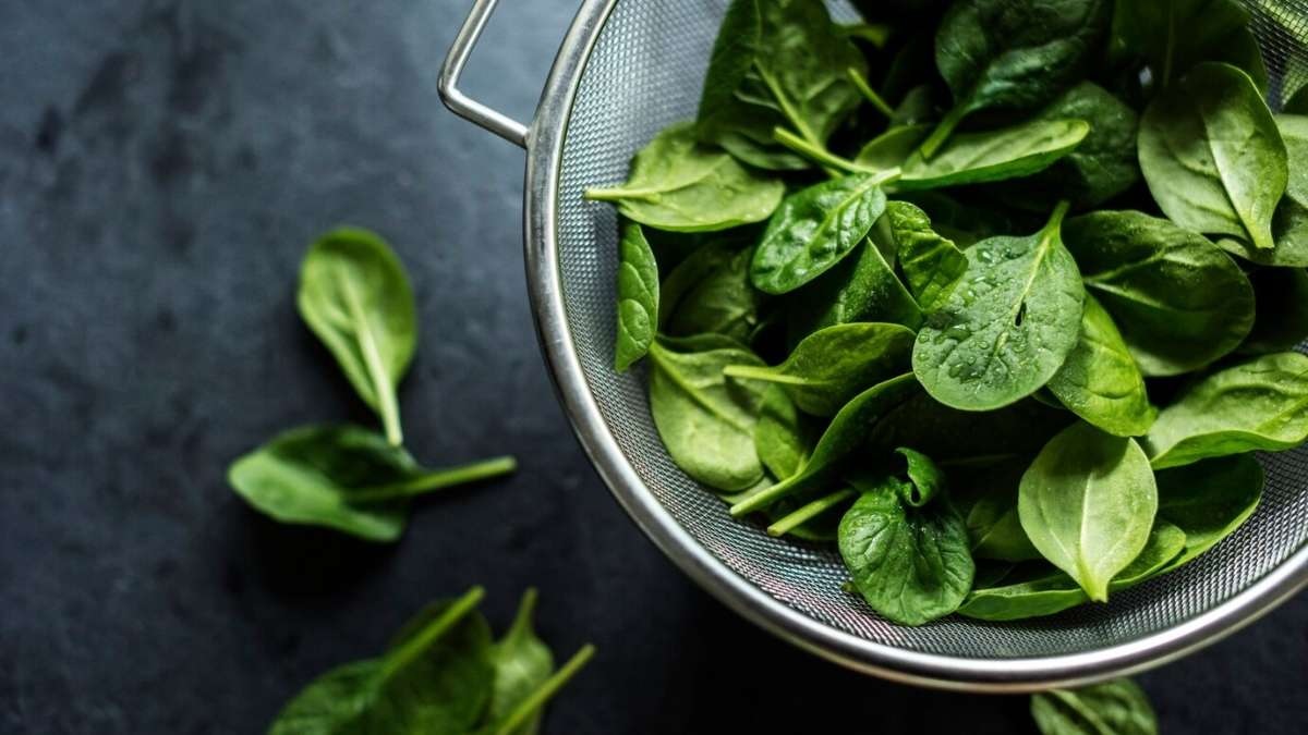 health if you are also eating spinach a lot in winter then just read its 5 hidden disadvantages2