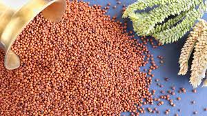 health include ragi in your diet for fast weight loss you will get many other benefits for your health werwer