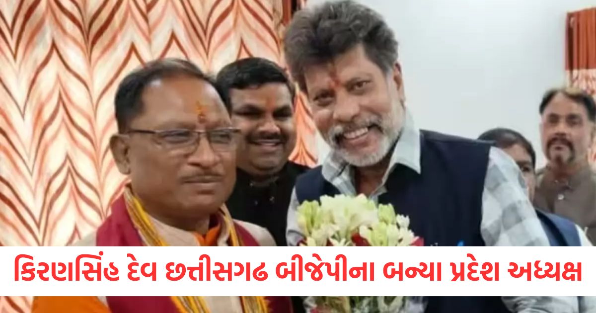 kiran singh deo became bjp state president of chhattisgarh