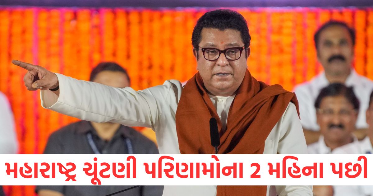 mns raj thackeray questions maharashtra assembly election results 2024 evm bjp ncp shiv sena