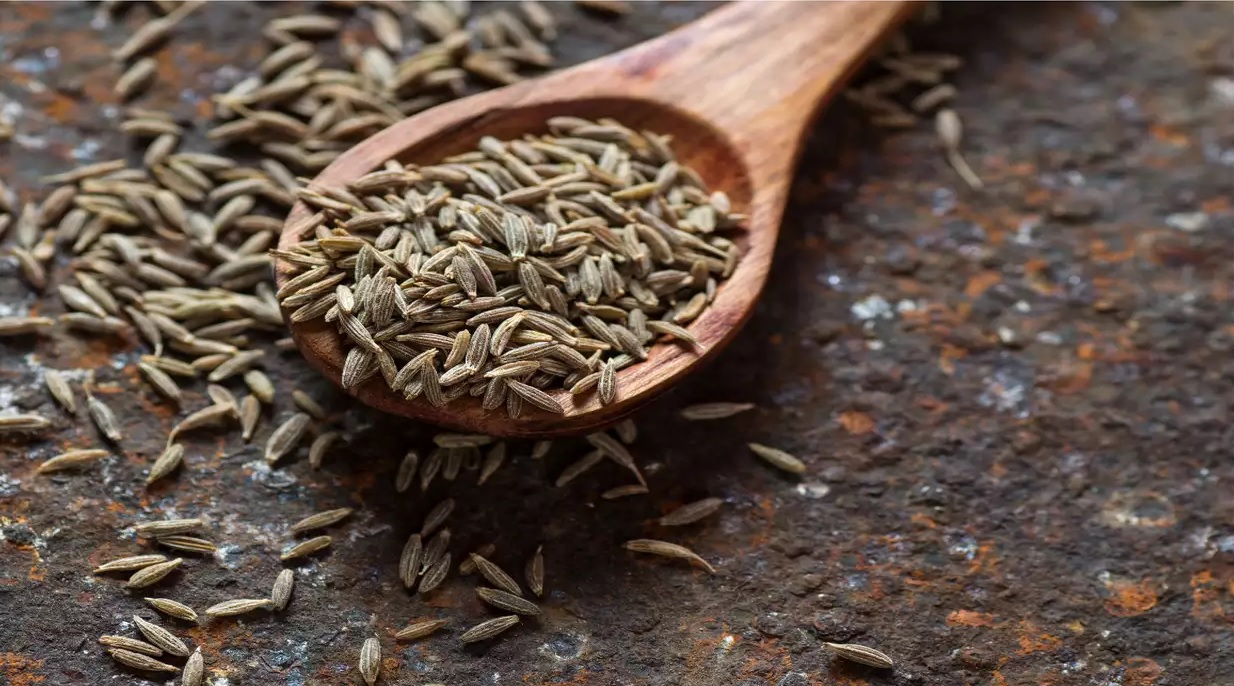 roasted cumin health benefits eat a spoonful of roasted cumin daily and many health problems will vanish4