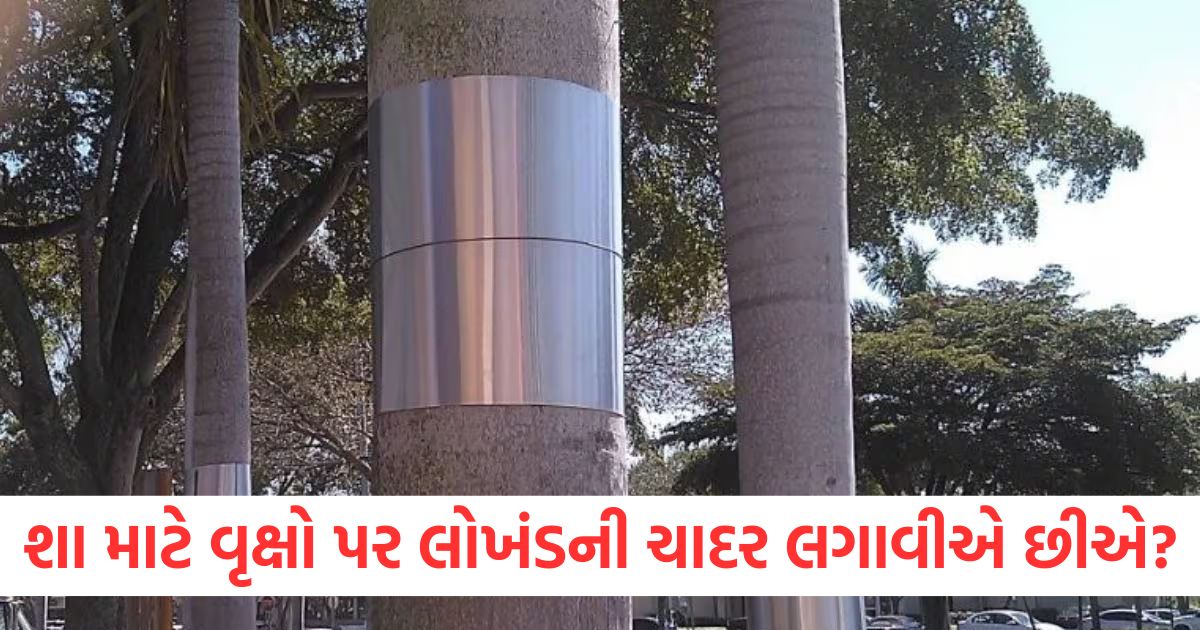 why metal sheet wrapped around trees why tree baffles wrapped general knowledge trending