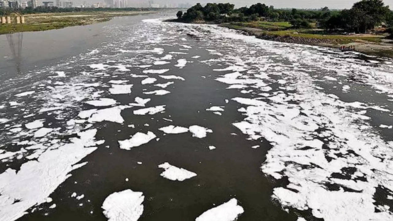 yamuna water row what are the reasons for high ammonia level in yamuna river1