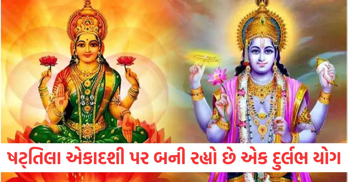 ષટ્તિલા એકાદશી પર બની રહ્યો છે એક દુર્લભ યોગwer