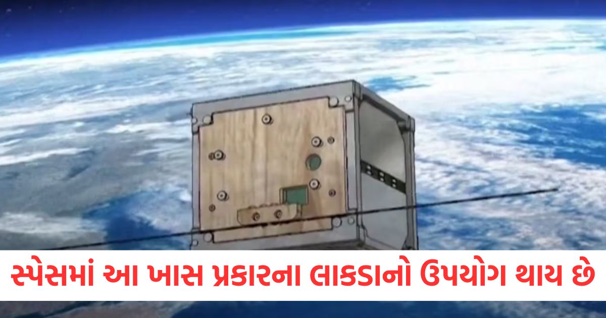 સ્પેસમાં આ ખાસ પ્રકારના લાકડાનો ઉપયોગ થાય છે