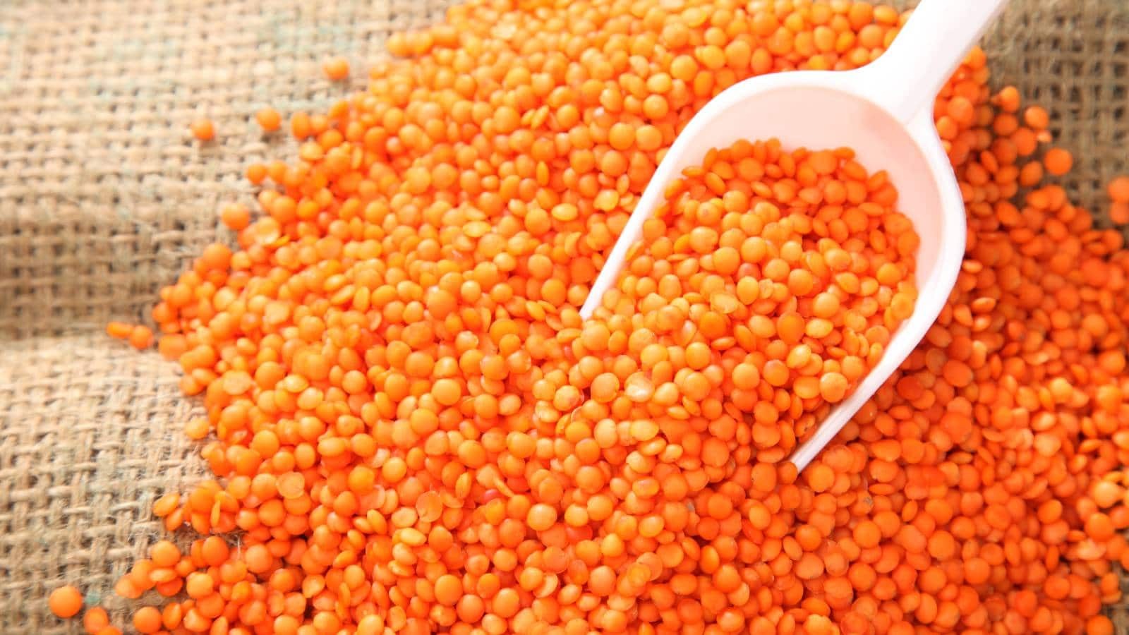 6 major benefits of red lentils masoor dal khane ke fayde protein rich dal2