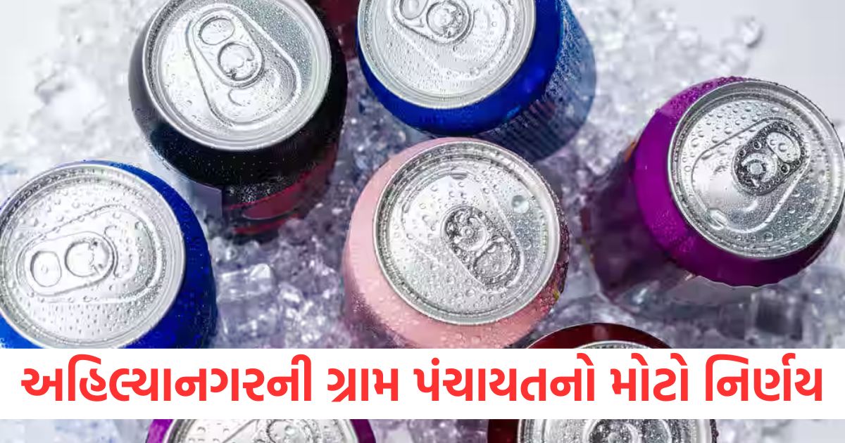 ahilya nagar village panchayat ban sale of cold drinks and energy drinks maharashtra2