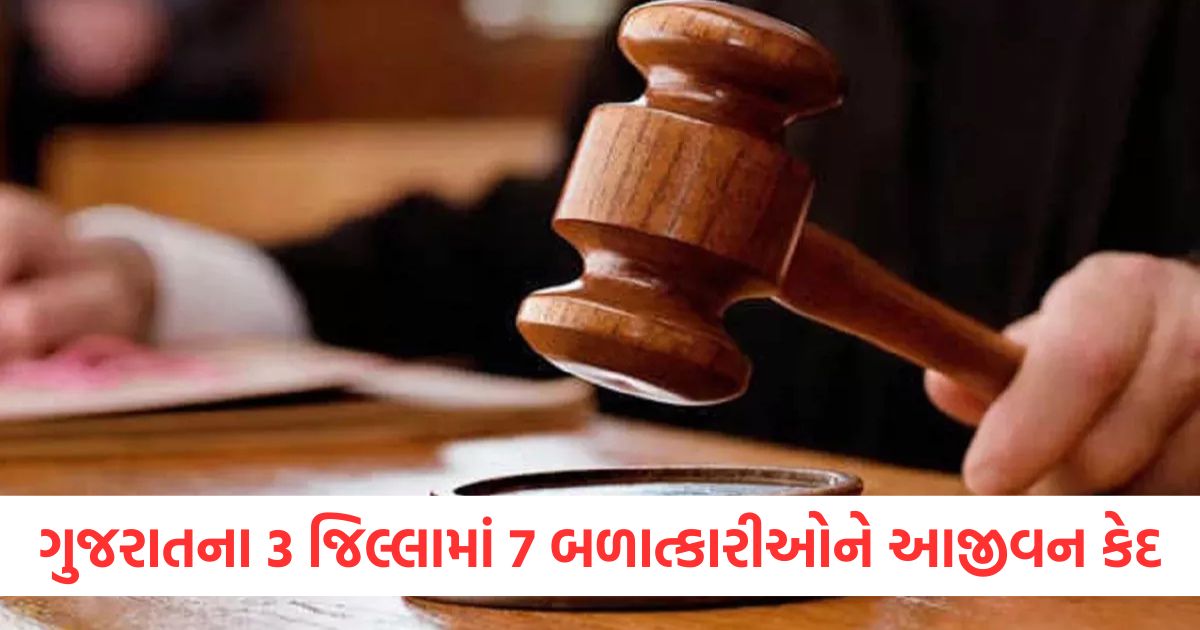 ahmedabad seven rapists sentenced to life imprisonment in one day in amreli and vadodara and rajkot2