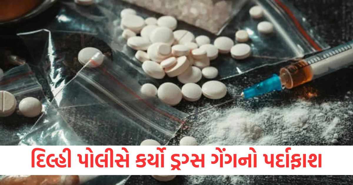 delhi police busted heroin smugglers recovered 365 grams drugs and huge cash2