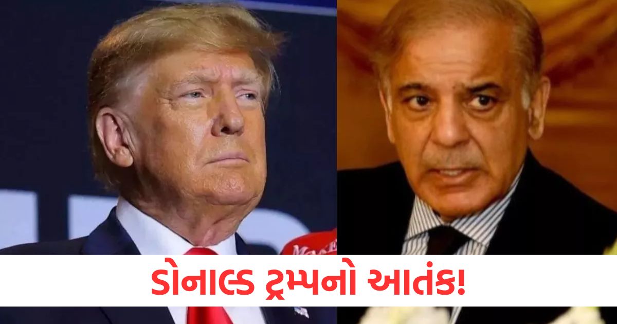 donald trump tariff fear pakistan is increasing trade with islamic countries after bangladesh it got support from uzbekistan23