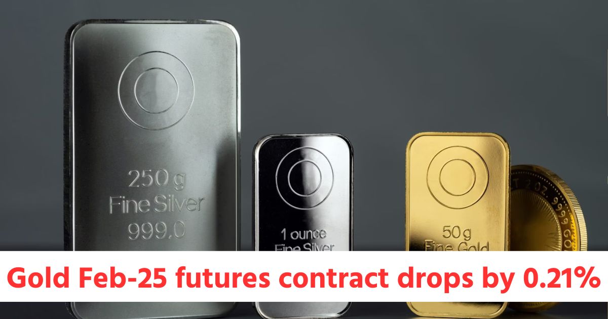 gold feb 25 futures contract drops by 0 21 while silver mar 25 futures gains by 0 02