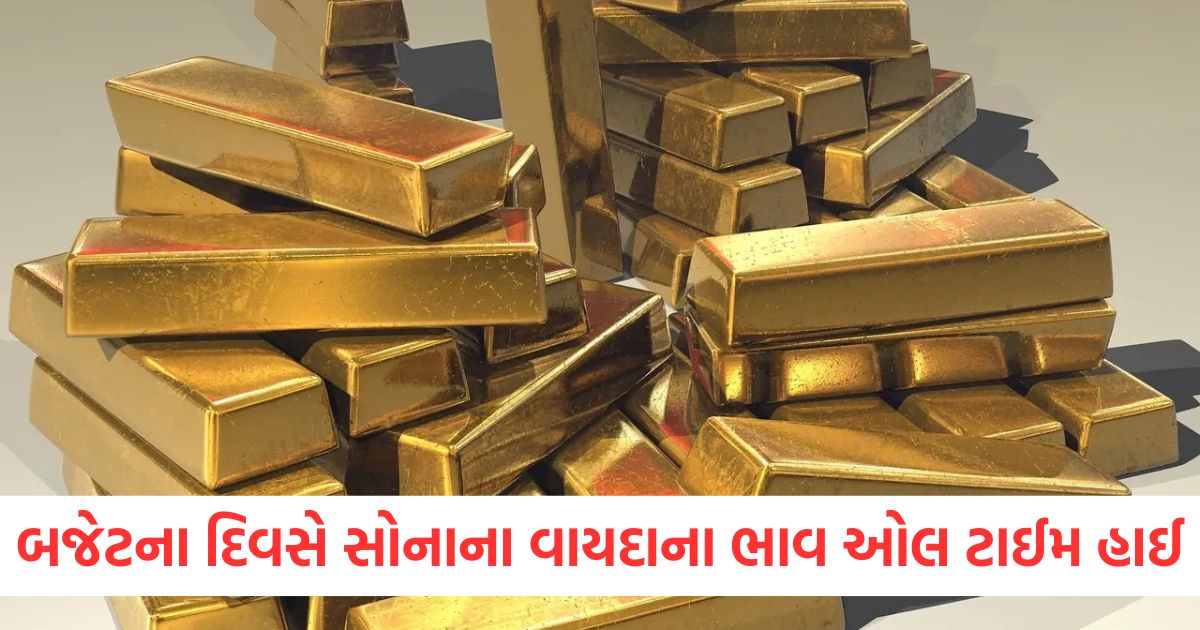 gold futures prices on mcx hit all time high on budget day crude oil recovers