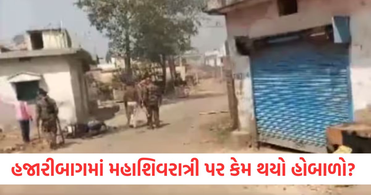 jharkhand violence scuffle stone pelting incident in hazaribagh on mahashivratri due to sound system watch video