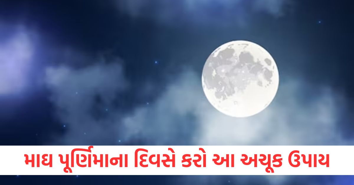 magh purnima 2025 upay know the powerful remedies for wealth and prosperity check details