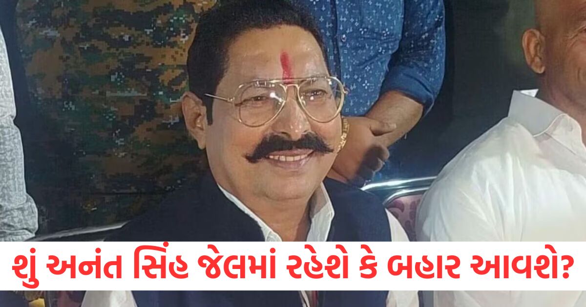 mokama firing case court rejected bail petition of former mla anant singh