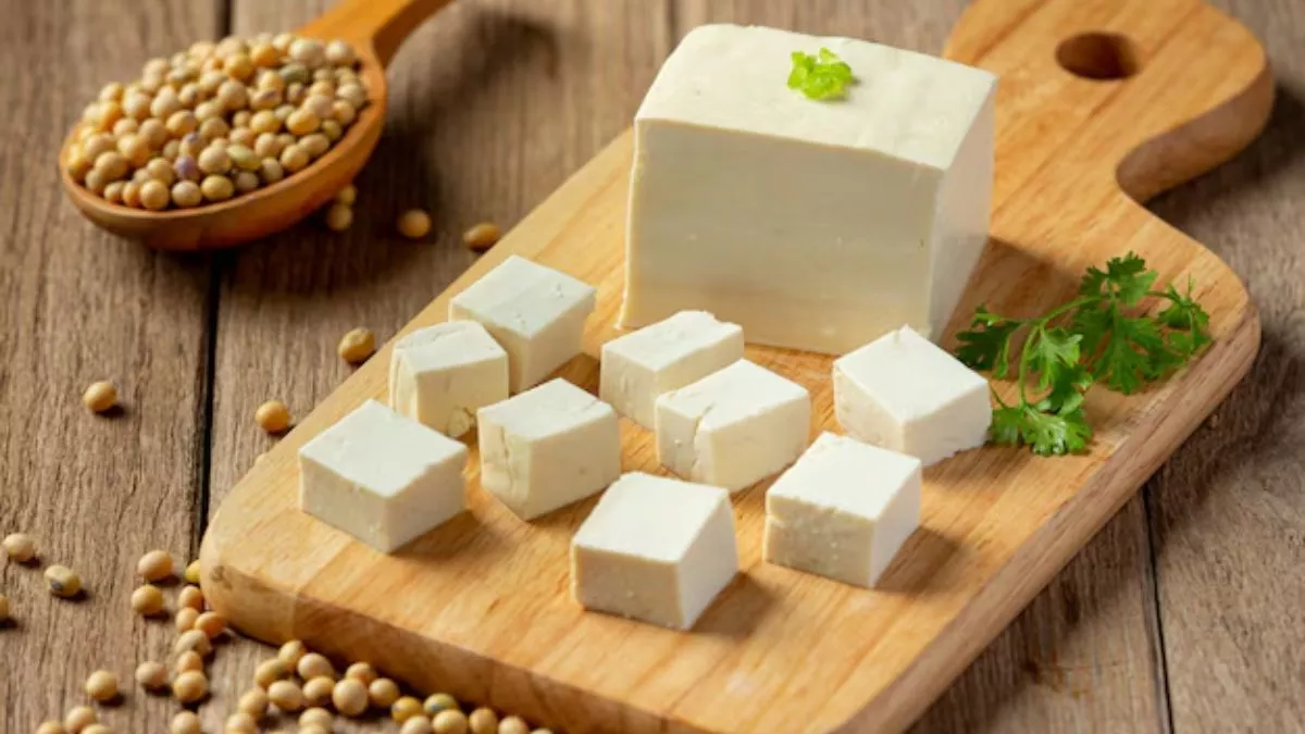 real paneer how to make soft paneer at home checking real paneer