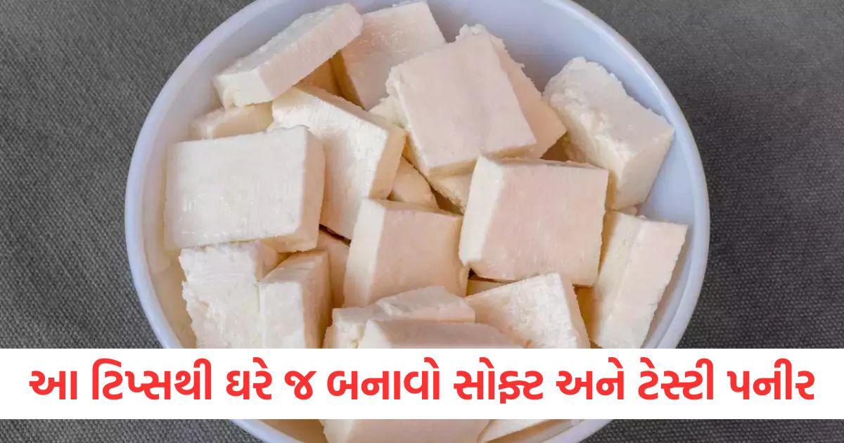 real paneer how to make soft paneer at home checking real paneer werw