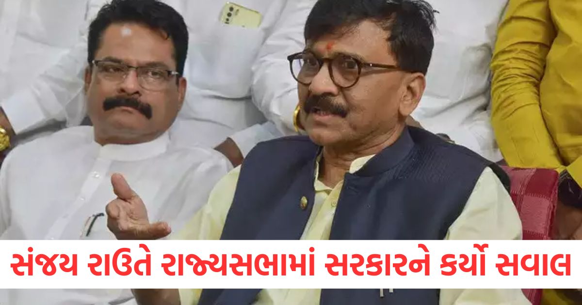 shiv sena ubt leader sanjay raut rajya sabha budget session asked questions to the govt