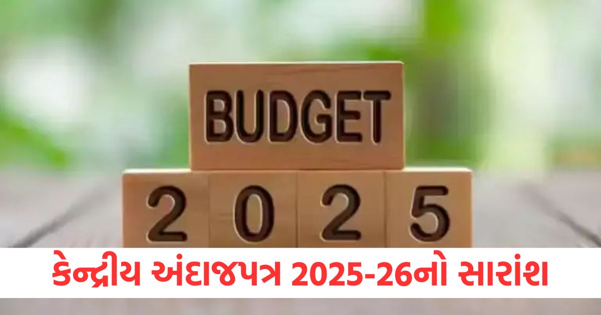 union budget 2025 26 know about priority and key value added schemes