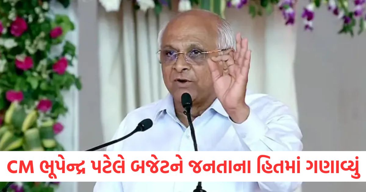 vision of developed gujarat mission of public welfare cm bhupendra patel pm modi vision2