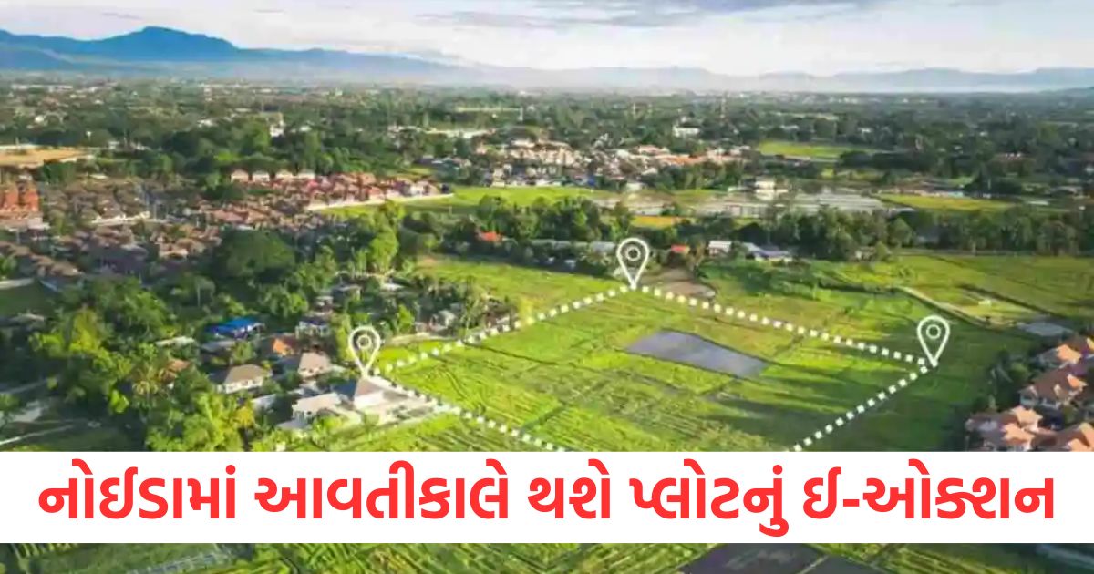 yeida plot scheme 2024 7 february plots e auction scheme full detail