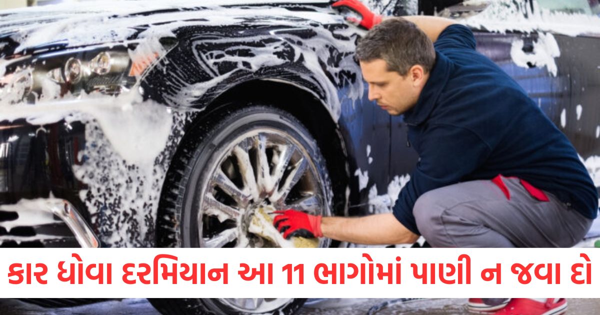 કાર ધોવા દરમિયાન આ 11 ભાગોમાં પાણી ન જવા દો