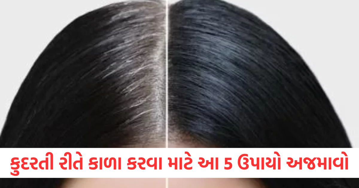 કુદરતી રીતે કાળા કરવા માટે આ 5 ઉપાયો અજમાવો