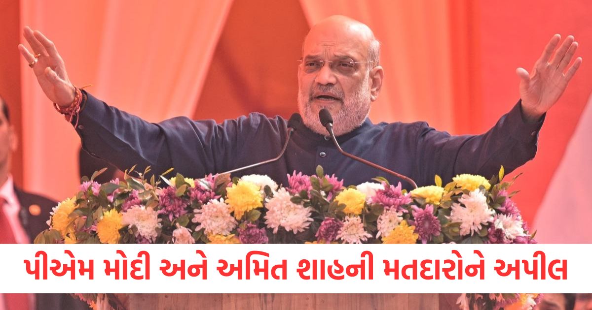 પીએમ મોદી અને અમિત શાહની મતદારોને અપીલ