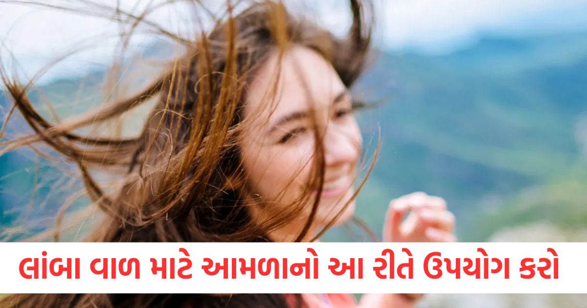 લાંબા વાળ માટે આમળાનો આ રીતે ઉપયોગ કરો