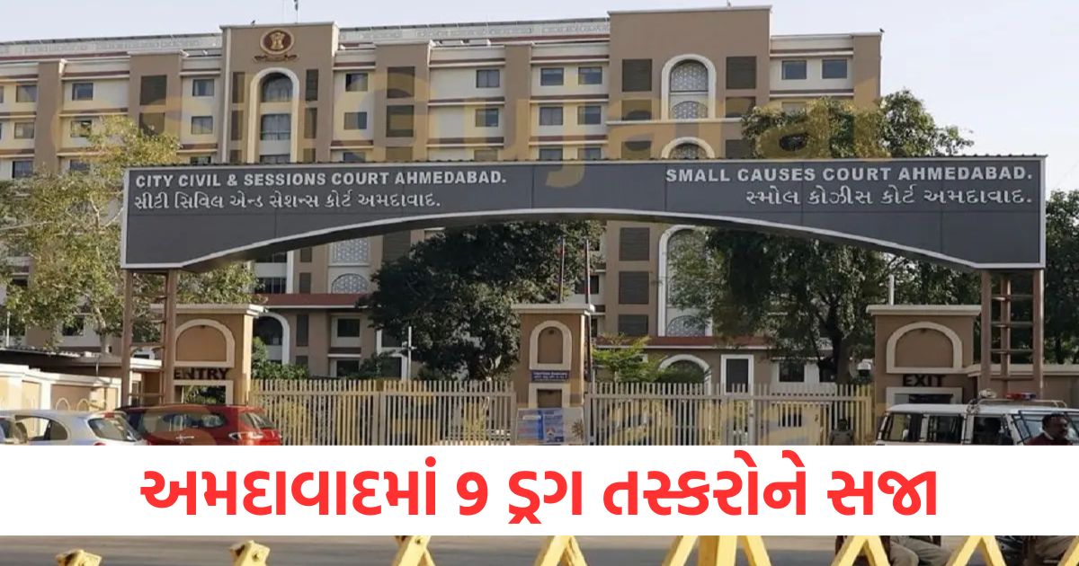 9 drug smugglers sentenced in ahmedabad 6 sentenced to 12 years 3 sentenced to 10 years