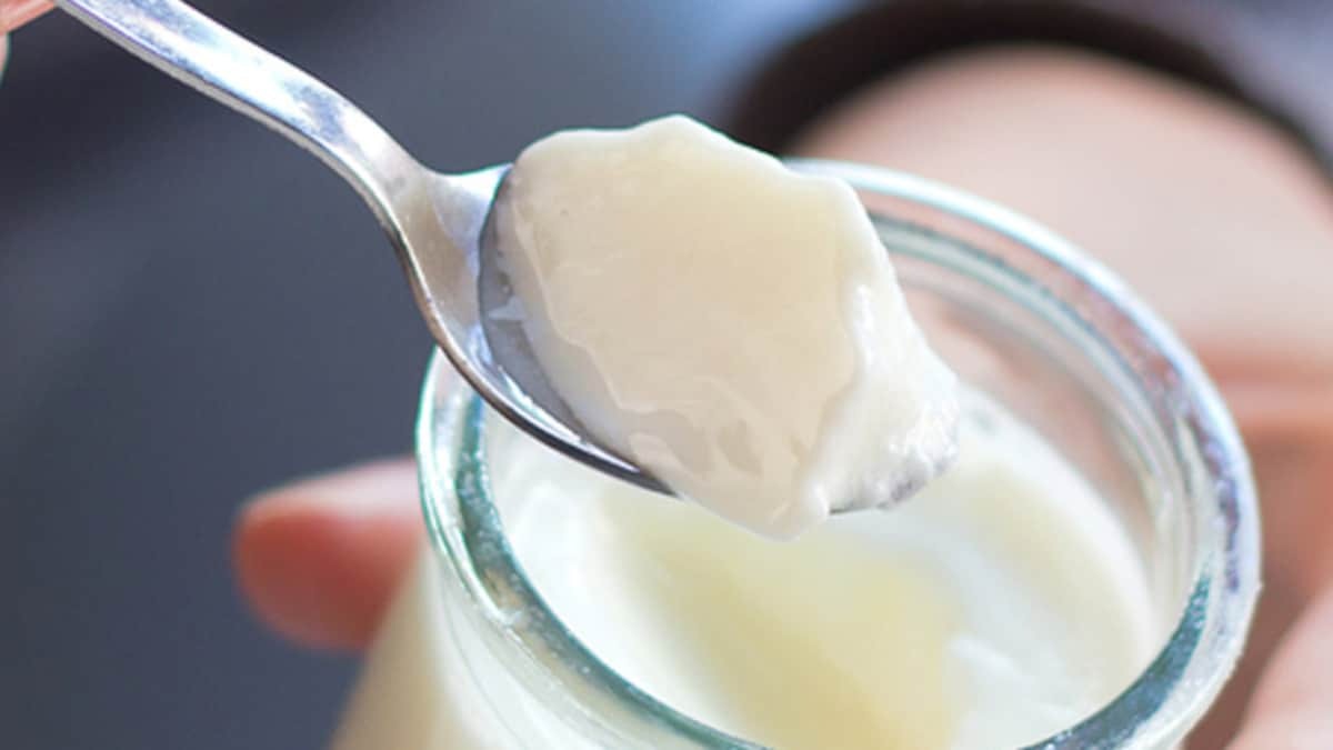 does curd turn sour in summer try this trick curd will set like market at home