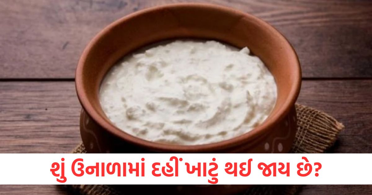 does curd turn sour in summer try this trick curd will set like market at home2