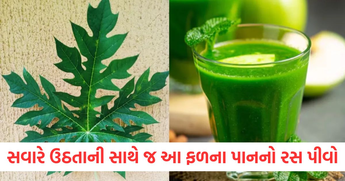 drink the juice of this fruit leaf as soon as you wake up in the morning the body will stay away from these 4 diseases