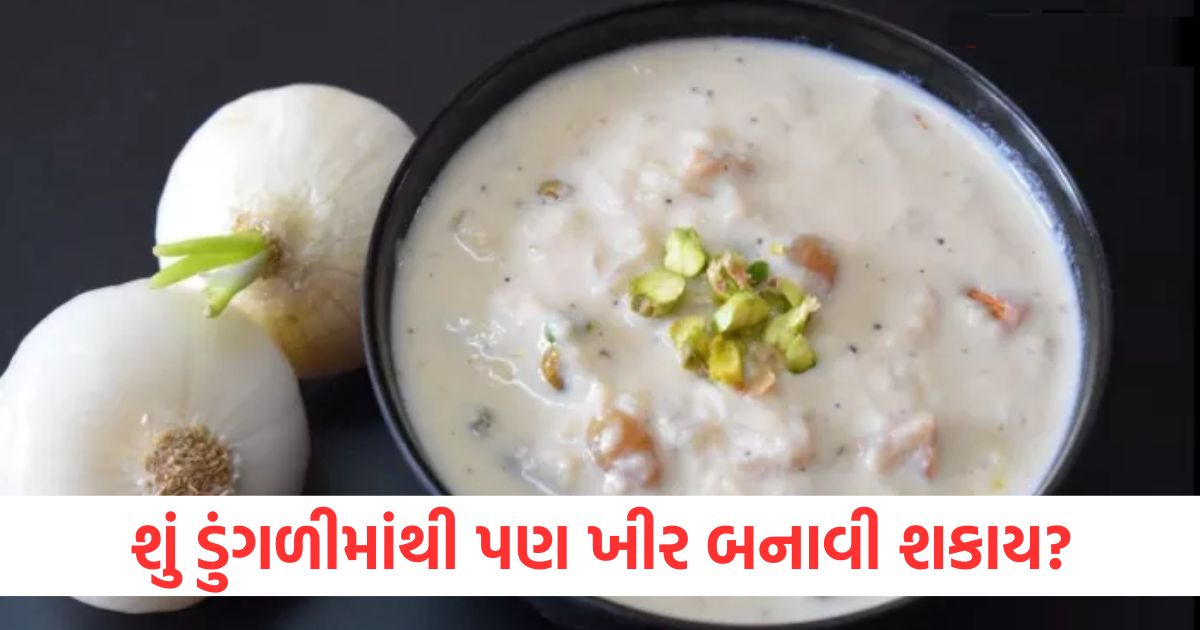 have you ever heard of onion kheer a unique sweet dish from the nizami era