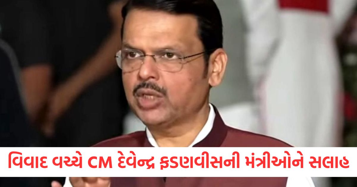 maharashtra cm devendra fadnavis advice ministers to follow rajdharma nitesh rane aurangzeb row nagpur violence2