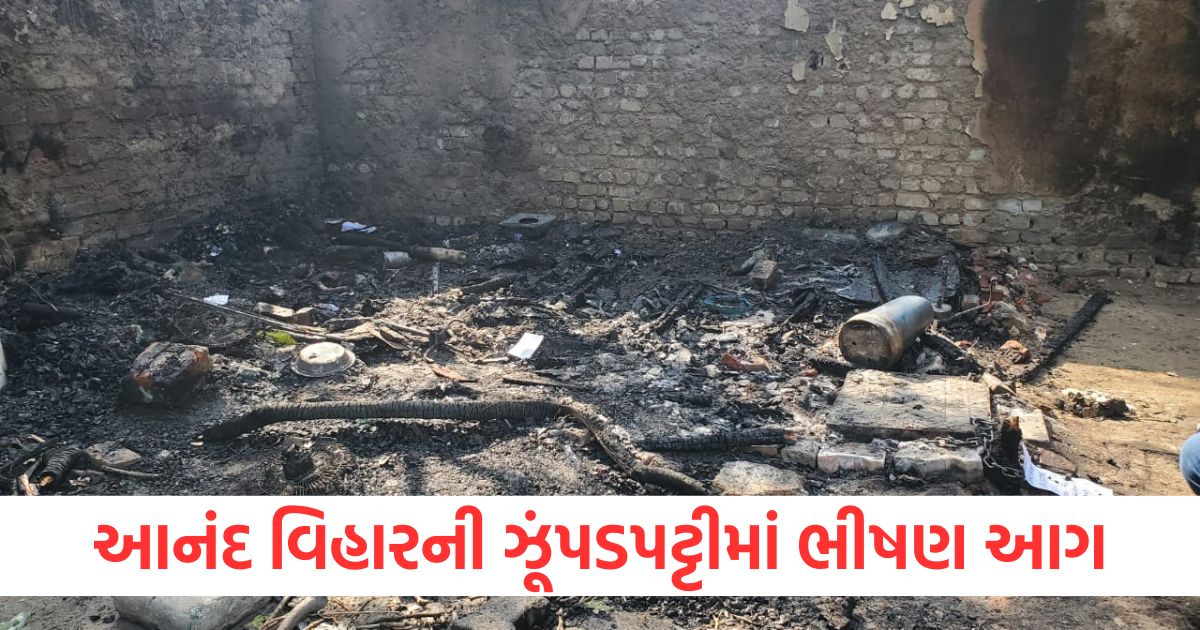 ncr delhi anand vihar fire three people burnt alive in a slum fire2